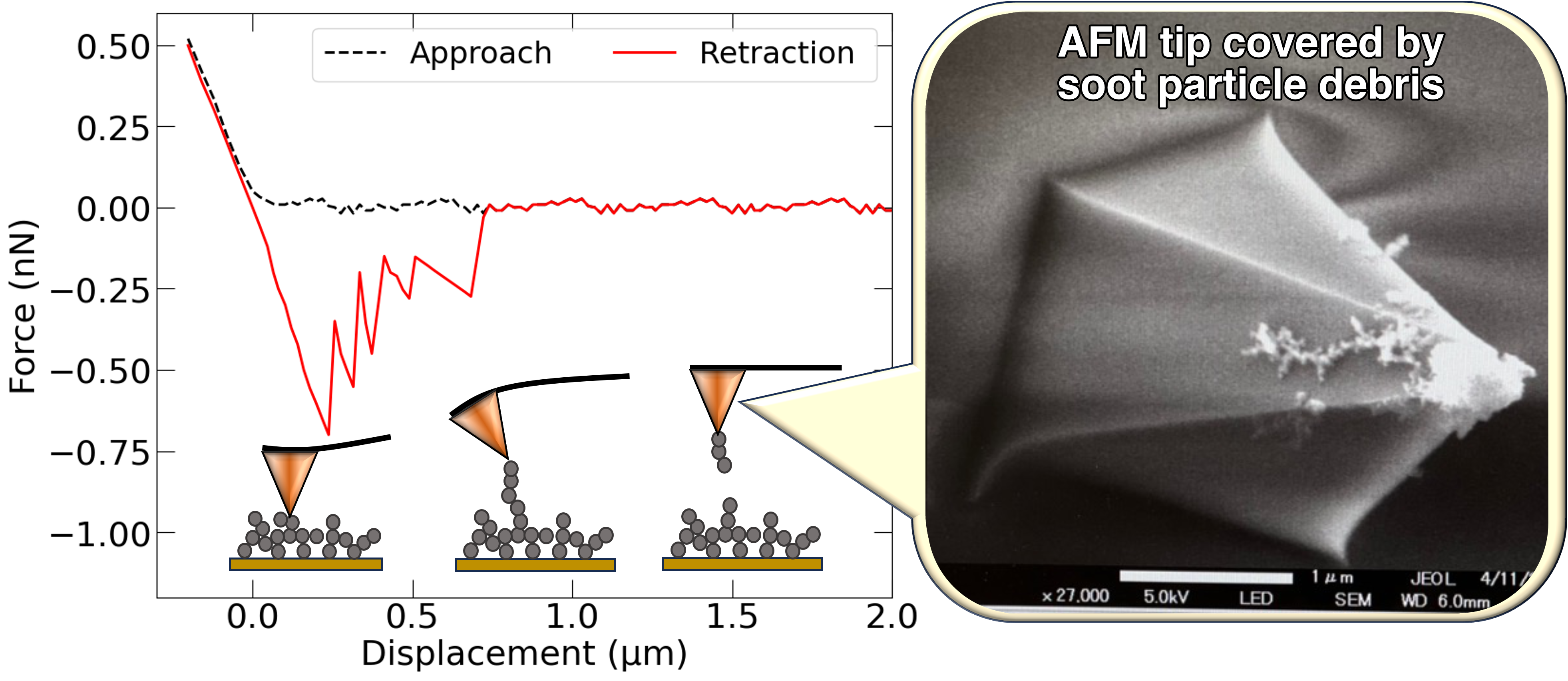 AFM force spectroscopy TOC graphic