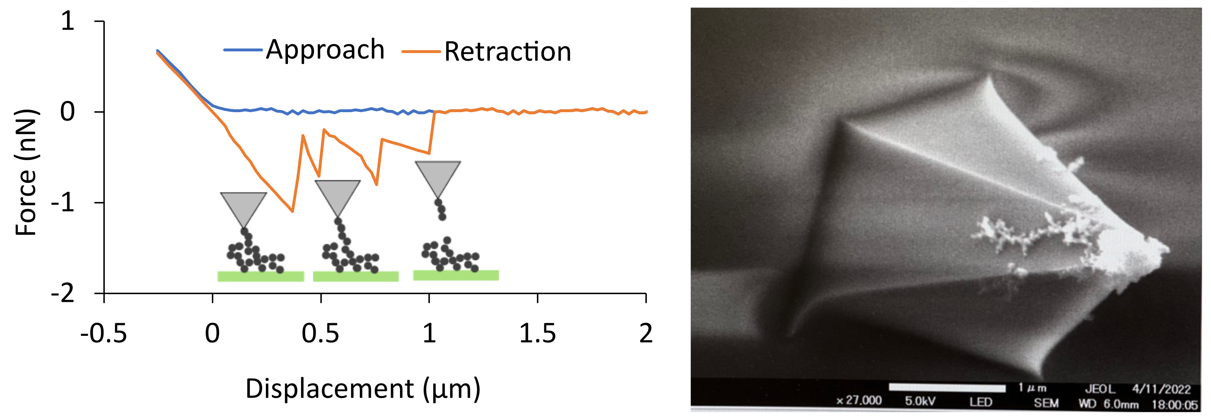 AFM force spectroscopy TOC graphic